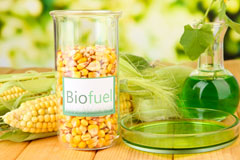 Shelland biofuel availability