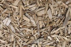 biomass boilers Shelland