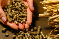 free Shelland biomass boiler quotes